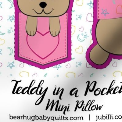Teddy in a Pocket Mini Pillow