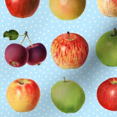 Apples and dots on bright blue ground