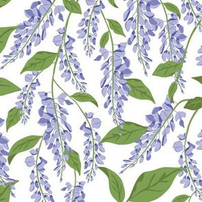 Wisteria Vines - White Purple Regular Scale