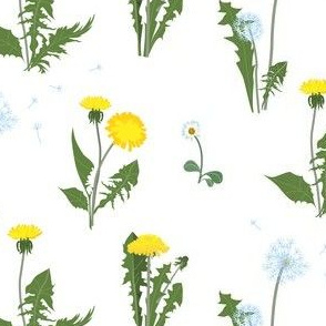 dandelion garden - white