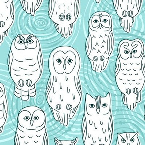 White Owls, L, 18"