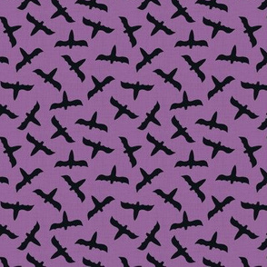 Bat crazy - purple