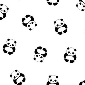 Baby Panda - White