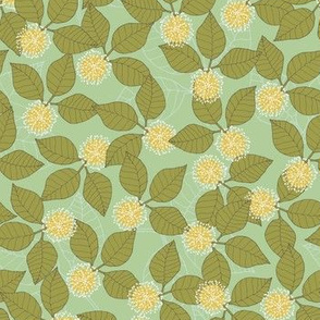 Kadam Flower Green