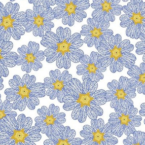 Zebra Primrose Blue/White