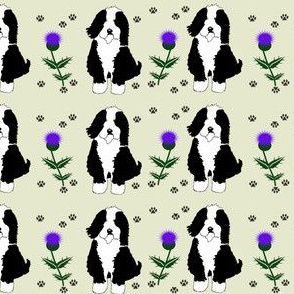 Dog with Paw prints and Thistles on  Cream