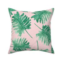 Monstera Plants on Pink