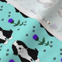 Dog with thistles and pawprints on teal