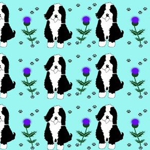 Dog with thistles and pawprints on teal