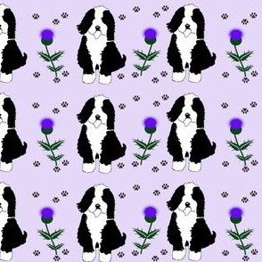 Black and White Dog with thistles on violet 