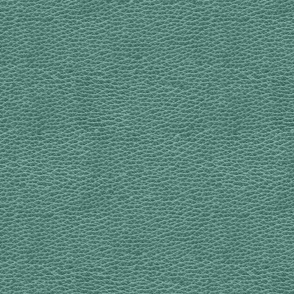 Leather Texture- Mint- Regular Scale