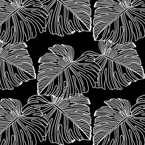 white and black monstera leaves 