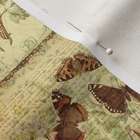 Butterfly Garden - 