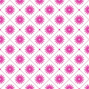 magenta stars