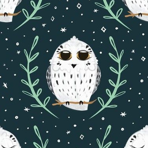 Snowy Owls