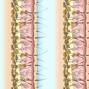 Skin Anatomy border