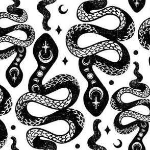 Black and White Moon Snakes by Angel Gerardo