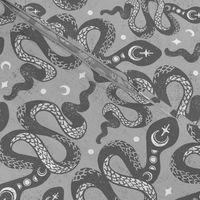 Gray Grey Moon Snakes by Angel Gerardo