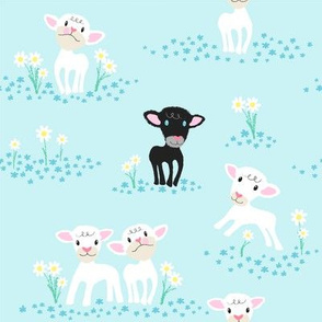 Lil Lambs