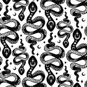 Black and White Moon Snakes by Angel Gerardo - Small Scale