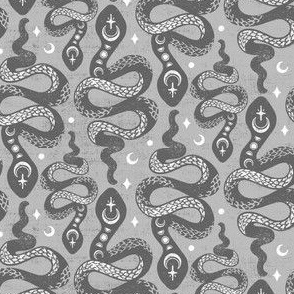 Gray Grey Moon Snakes by Angel Gerardo - Small Scale