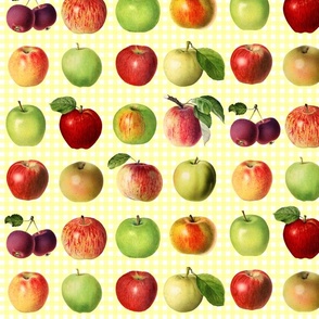 Apples on vanilla yellow gingham