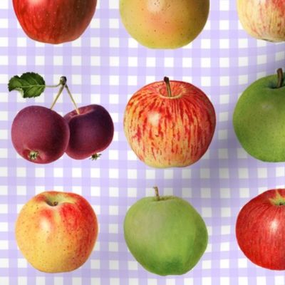 Apples on lavender gingham