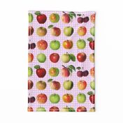 Apples on rose gingham