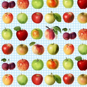 Apples on bright blue gingham