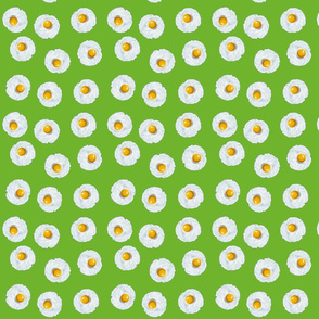 Eggs on Green