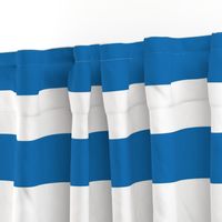Biscayne Blue Horizontal Tent Stripes Florida Colors of the Sunshine State