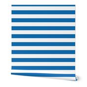 Biscayne Blue Horizontal Tent Stripes Florida Colors of the Sunshine State