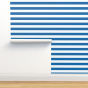 Biscayne Blue Horizontal Tent Stripes Florida Colors of the Sunshine State