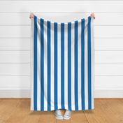Biscayne Blue Vertical Tent Stripes Florida Colors of the Sunshine State