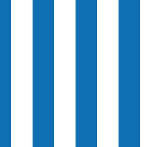 Biscayne Blue Vertical Tent Stripes Florida Colors of the Sunshine State