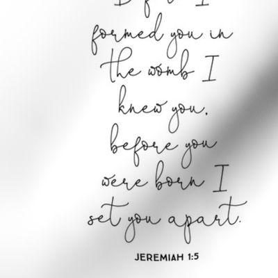 9" square: before I formed you in the womb I knew you, before you were born I set you apart. Jeremiah 1:5