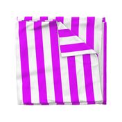 Orlando Orchid Pink Vertical Tent Stripes Florida Colors of the Sunshine State