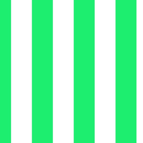 Lime Mojito Green Vertical Tent Stripes Florida Colors of the Sunshine State
