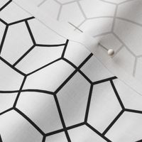 Black and White Geometric Hexagon