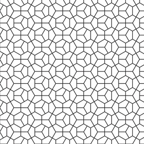 Black and White Geometric Hexagon