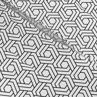 Black and White Geometric Honeycomb Hexagon