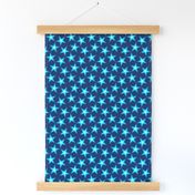 01051265 : S43Cstar : blue