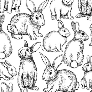 Fluffle of Bunnies - B&W, Jumbo Scale