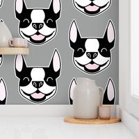 Boston Terrier faces on gray