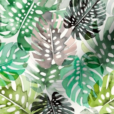 Tropical leaves Green