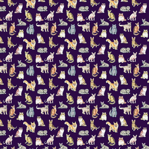 small dark  cat fabric