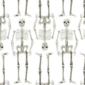 Watercolor skeleton - multidirectional 