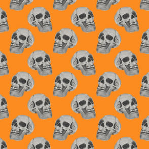 watercolor skulls - orange