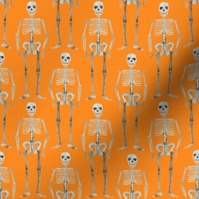 small scale - watercolor skeletons - orange