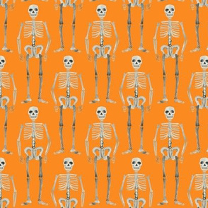small scale - watercolor skeletons - orange